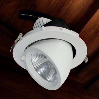 LED Zoom Light